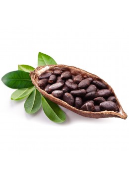 KAKAO YAĞI theobroma cacao -  (Kavanoz ve Dökme) - Deodorize